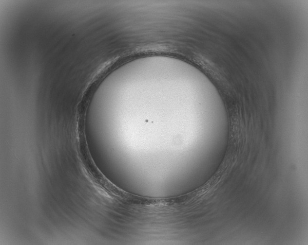 X0000057560112200509160820