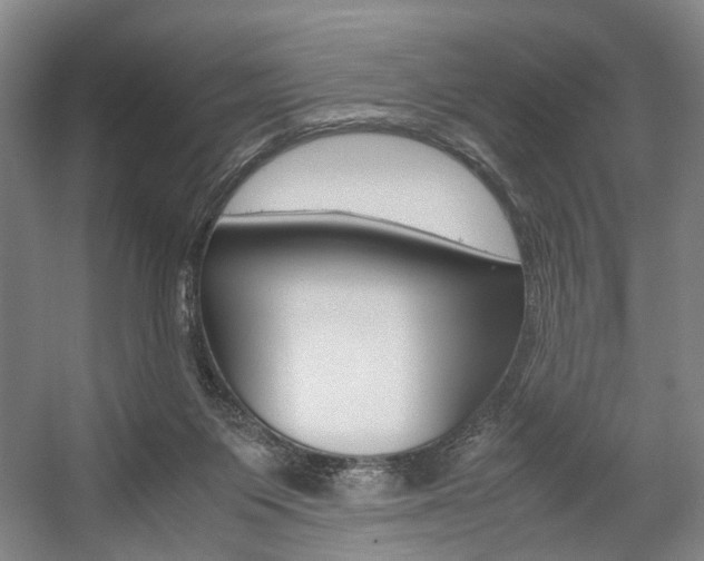 X0000057560119200509160820