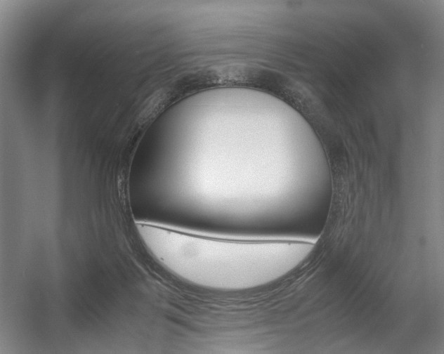 X0000057560123200509160820