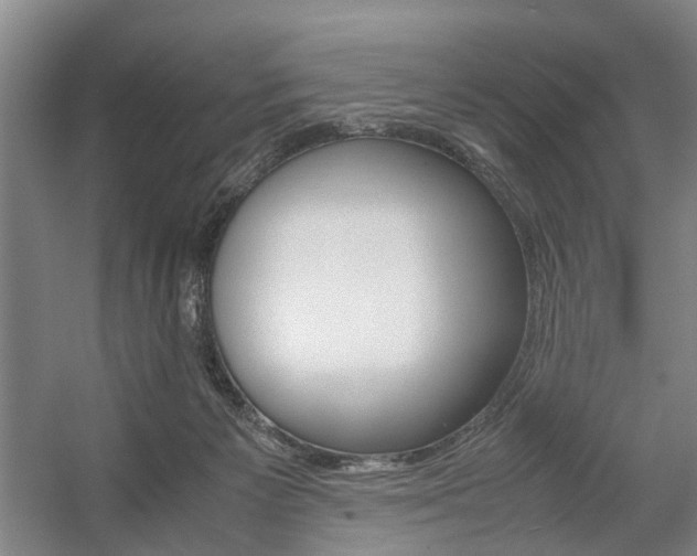 X0000057560125200509160820
