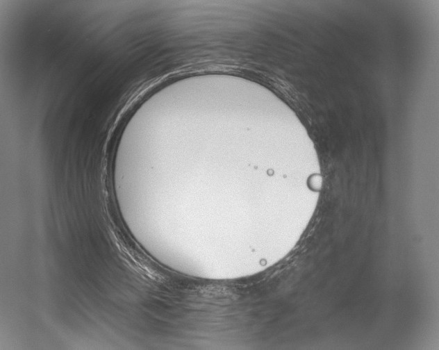 X0000057560146200509160819