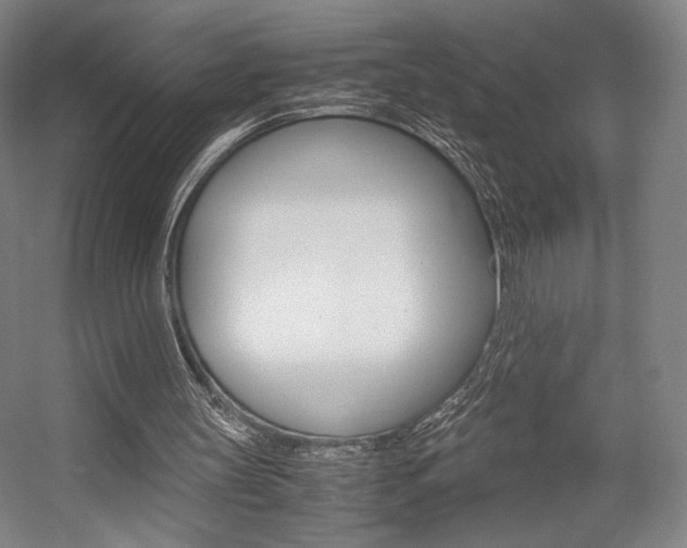 X0000057560147200509160819