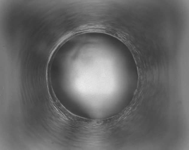 X0000057560148200509160819