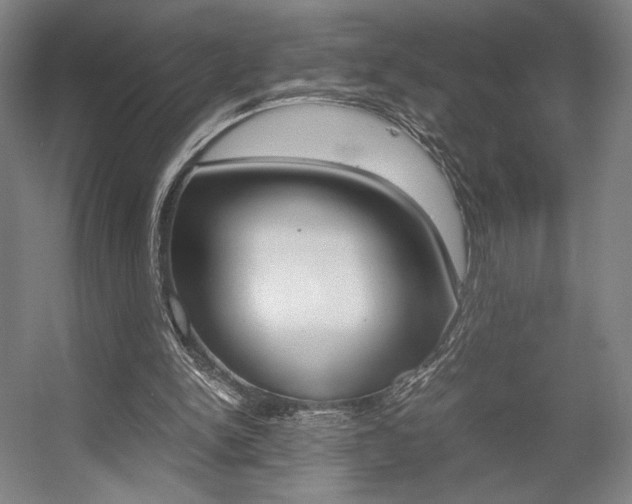 X0000057560150200509160819