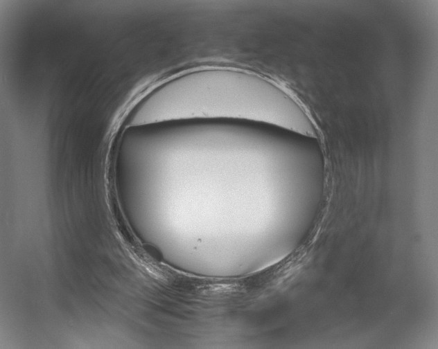 X0000057560151200509160819