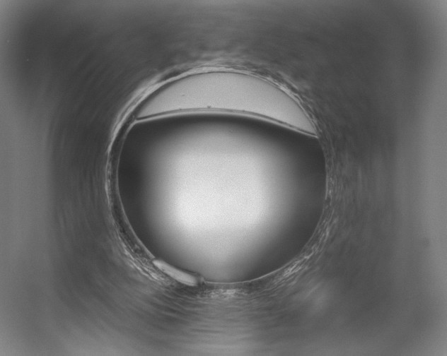 X0000057560152200509160819