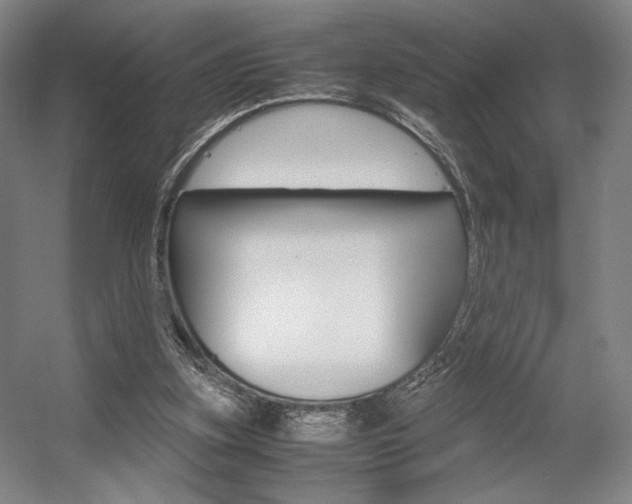 X0000057560155200509160819