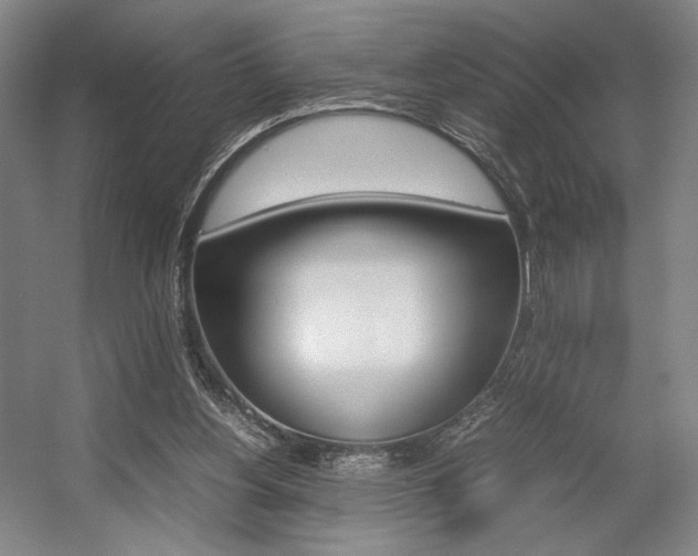 X0000057560156200509160819