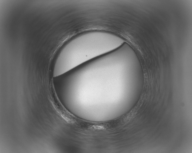 X0000057560159200509160819