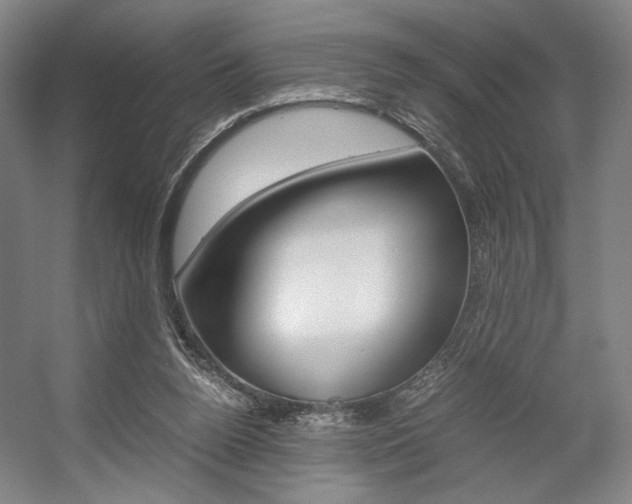 X0000057560160200509160819