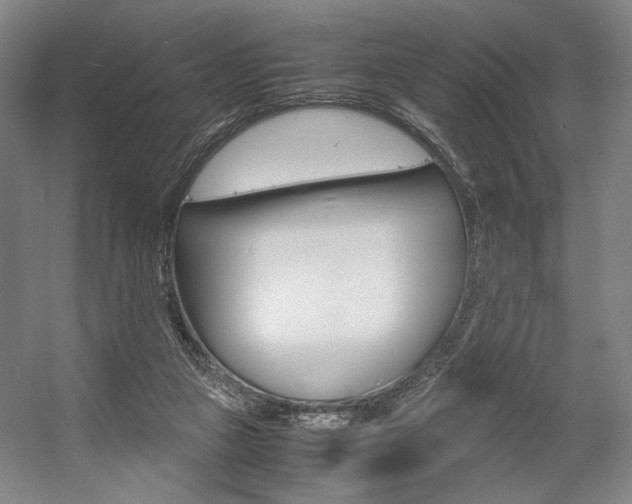 X0000057560161200509160819