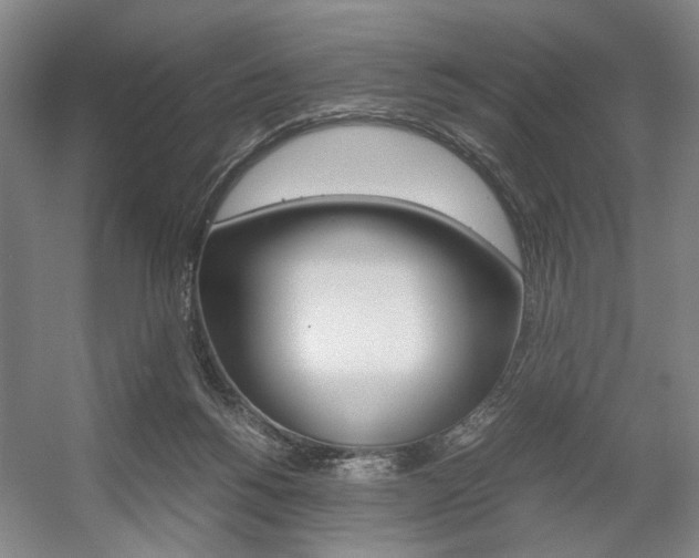 X0000057560168200509160819