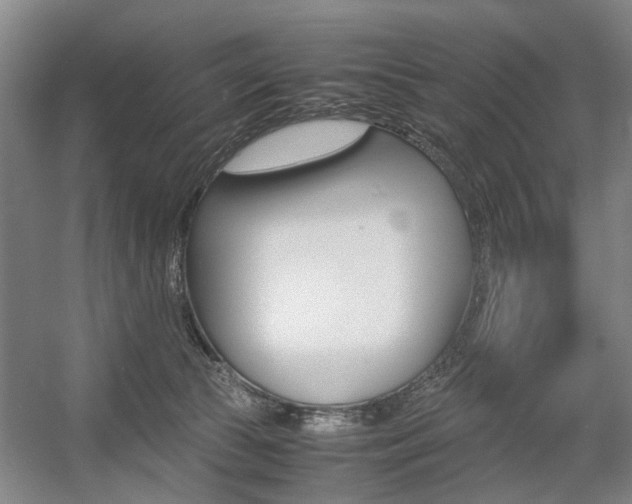 X0000057560177200509160820