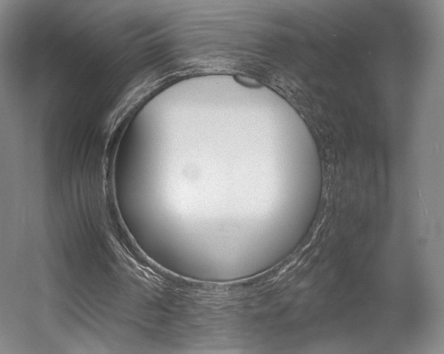 X0000057560194200509160819