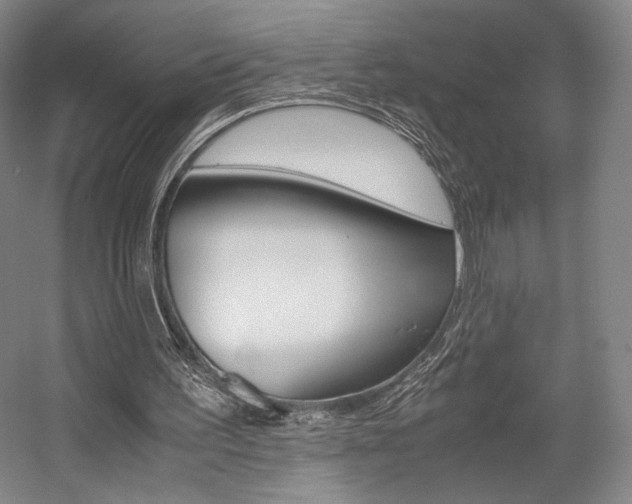 X0000057560195200509160819
