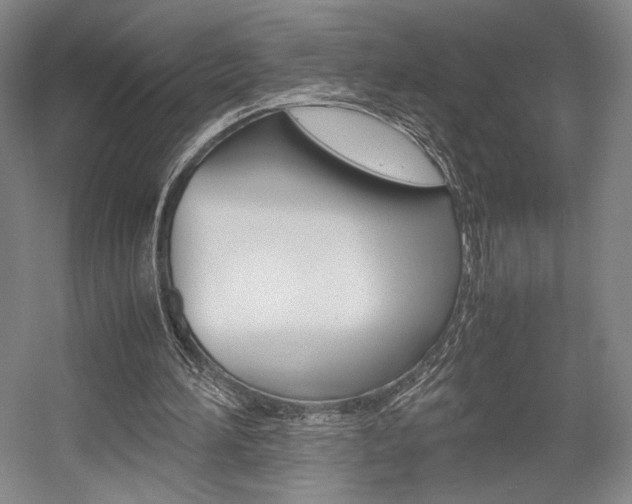 X0000057560196200509160819