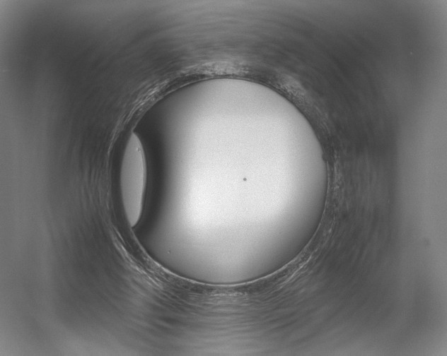 X0000057560202200509160819
