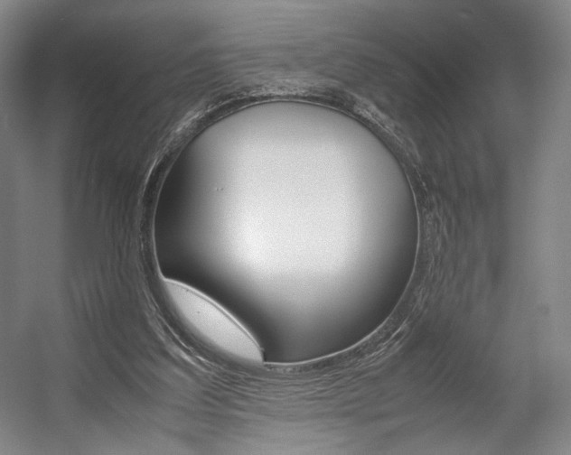 X0000057560203200509160819