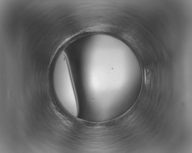 X0000057560204200509160819