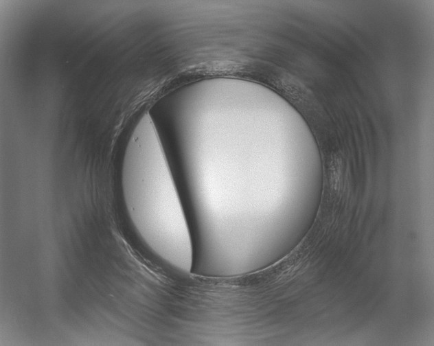 X0000057560206200509160819