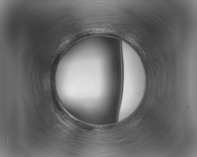 X0000057560207200509160819
