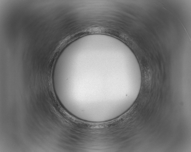 X0000057560208200509160819