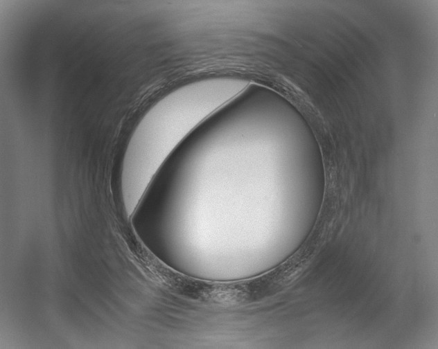 X0000057560209200509160819