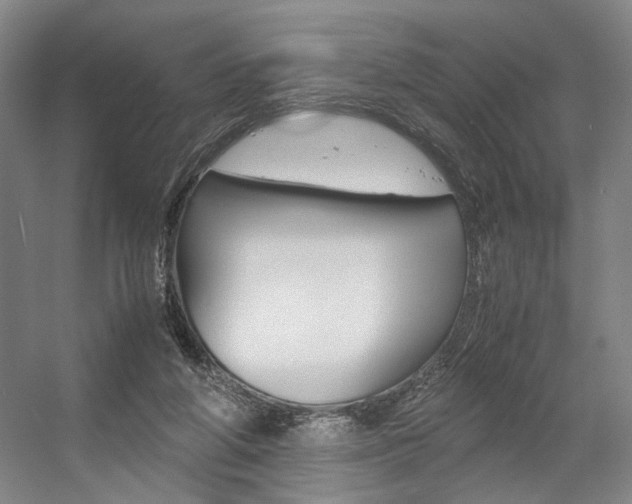 X0000057560210200509160819