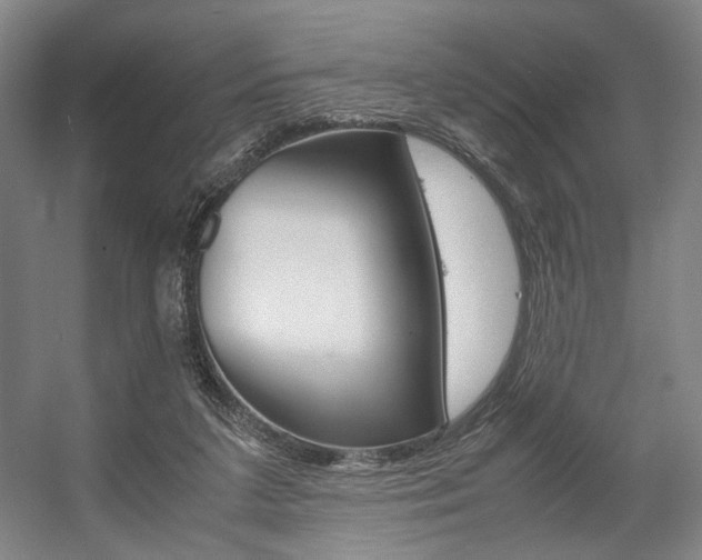 X0000057560211200509160819