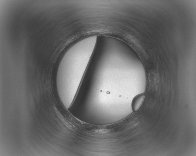 X0000057560212200509160819