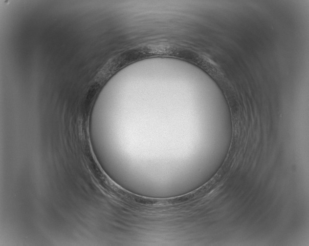 X0000057560213200509160819