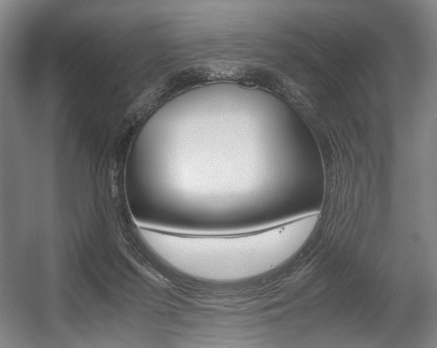 X0000057560215200509160819