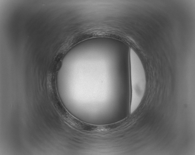 X0000057560217200509160819