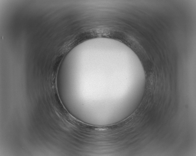 X0000057560218200509160819