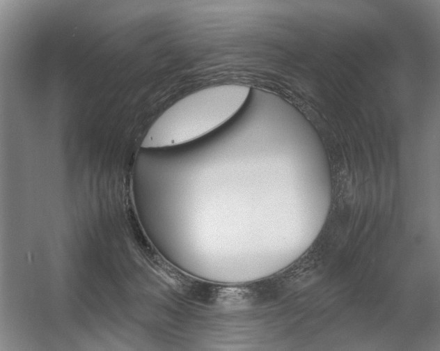 X0000057560222200509160819