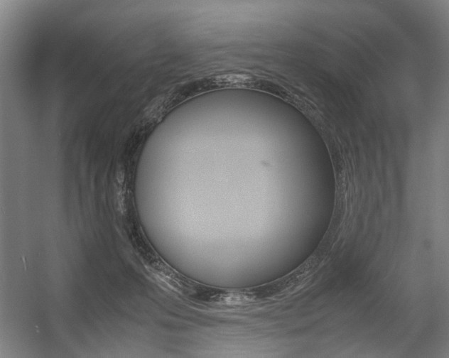 X0000057560223200509160819