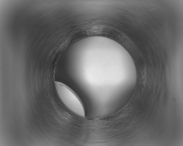 X0000057560224200509160819
