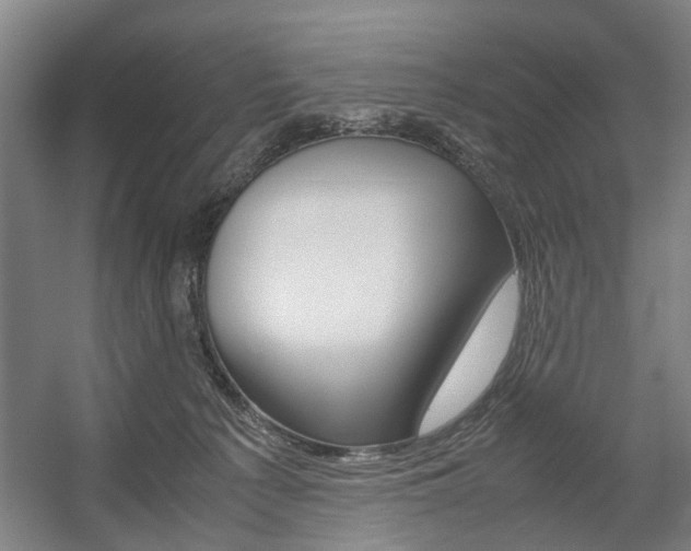 X0000057560225200509160819