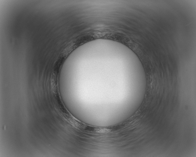 X0000057560226200509160819