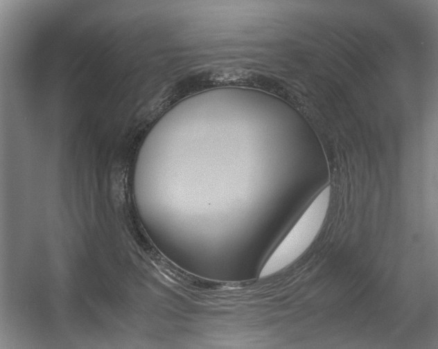 X0000057560227200509160818