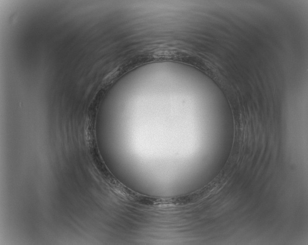 X0000057560228200509160818