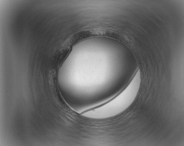 X0000057560229200509160818