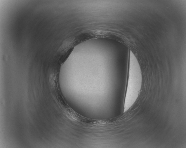 X0000057560235200509160818