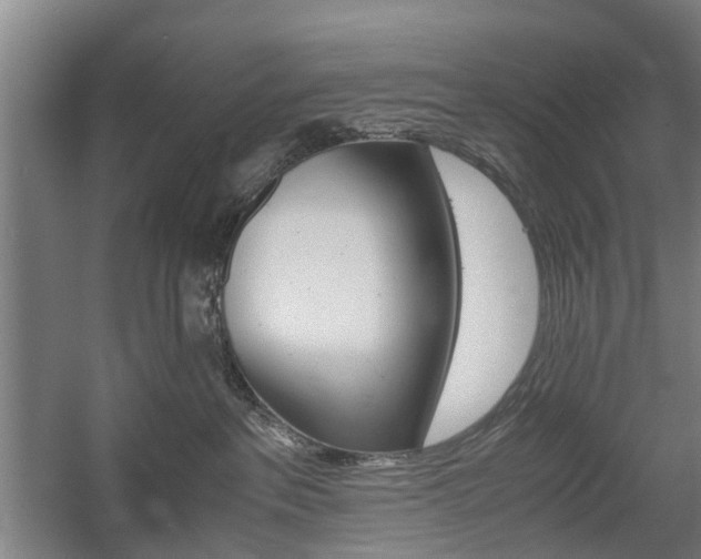 X0000057560237200509160818