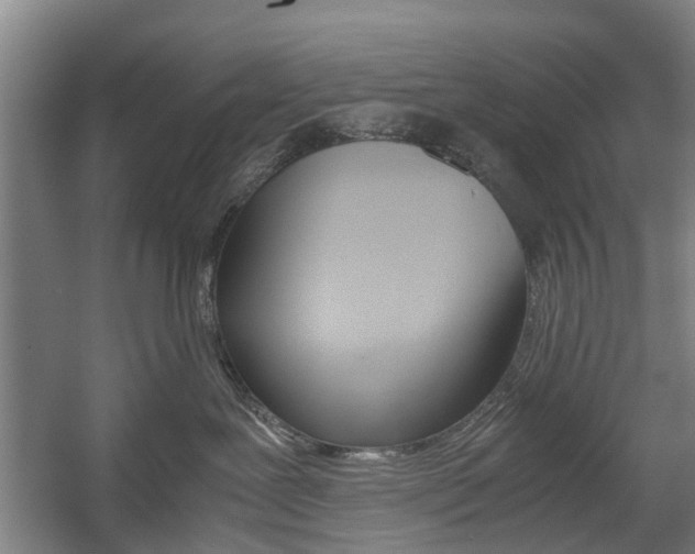 X0000057560239200509160818