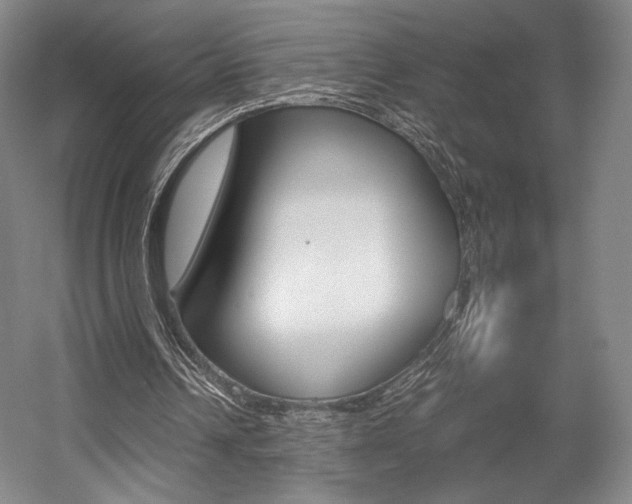 X0000057560242200509160817