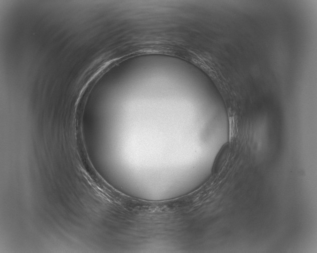 X0000057560243200509160817
