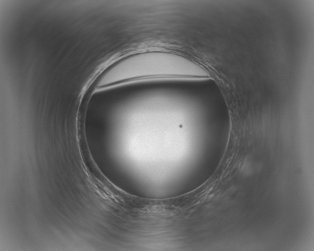 X0000057560244200509160818