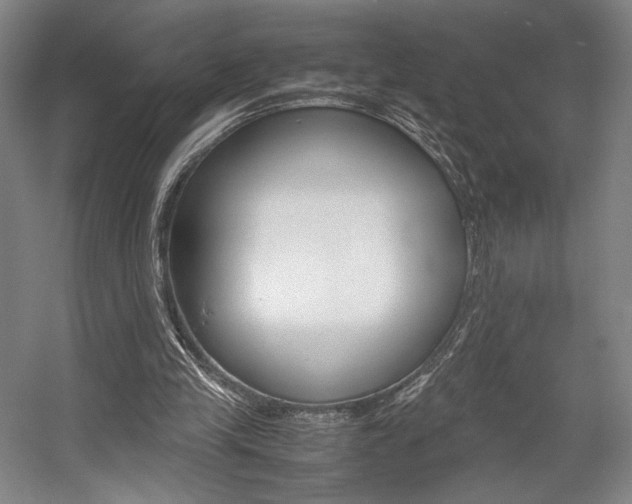 X0000057560245200509160818