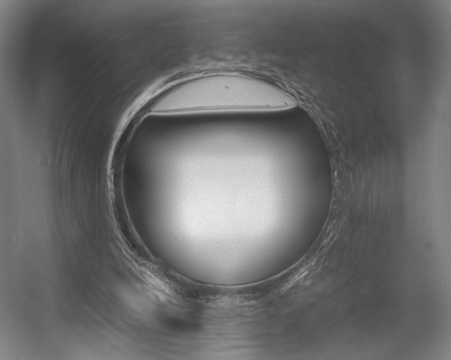 X0000057560246200509160818